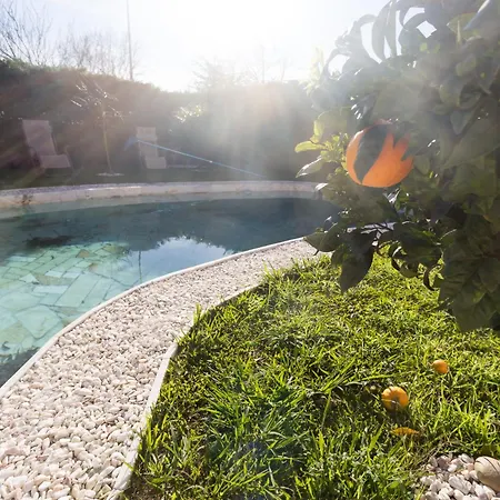 Guest H4U - Villa Garden & Pool Povoa de Varzim Exterior photo