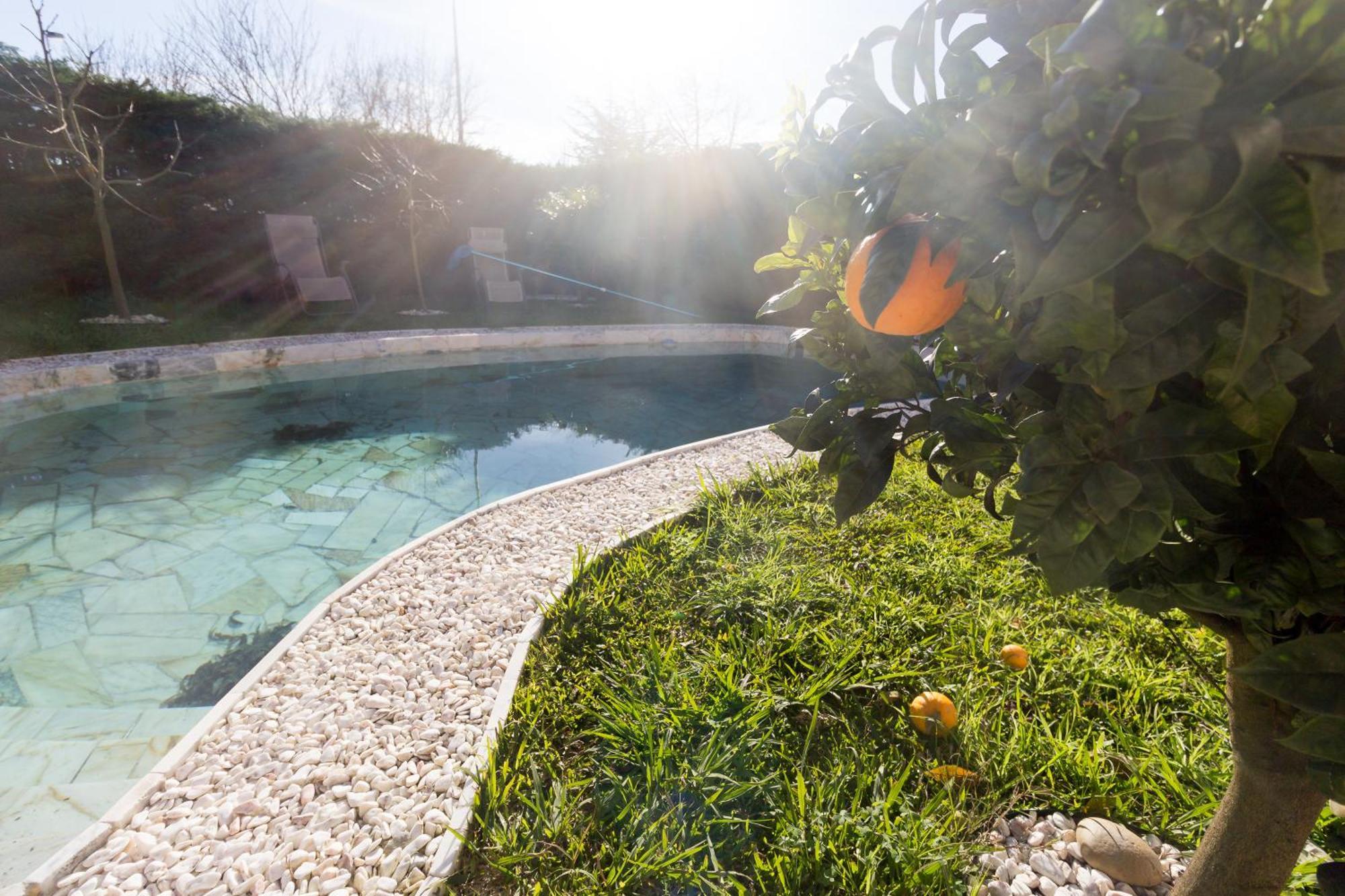 Guest H4u - Garden & Pool Holiday home Povoa de Varzim